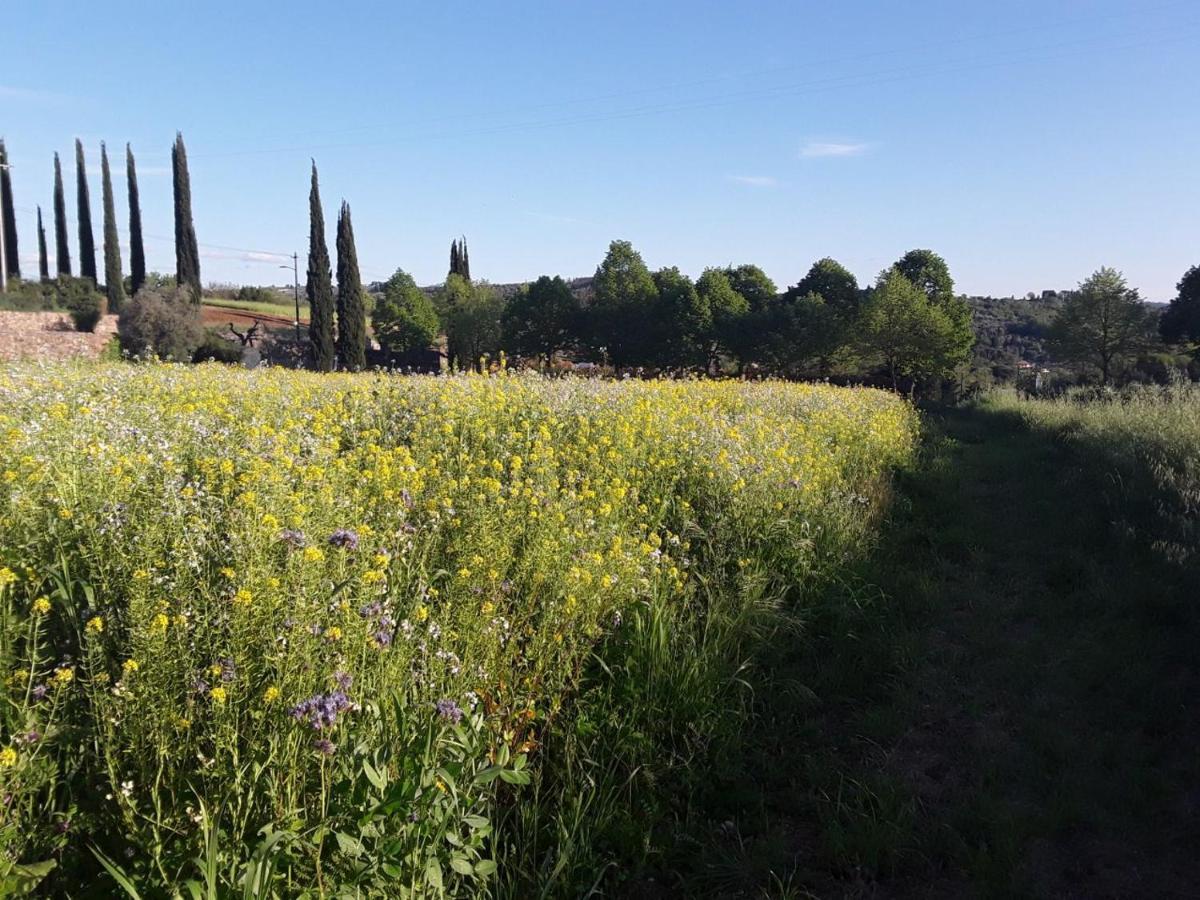 Agriturismo Fattoria Di Malavolta Firenze Eksteriør bilde